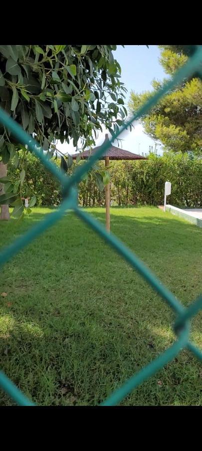 Apartamento Bajo Con Terraza Y Piscina *