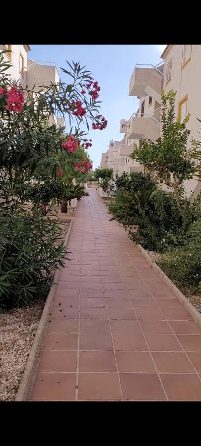 Bajo Con Terraza Y Piscina Apartamento
