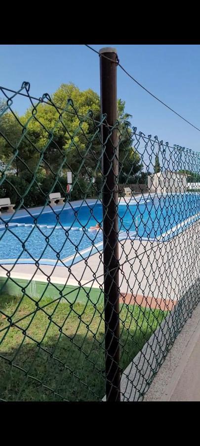 Bajo Con Terraza Y Piscina * Torrevieja