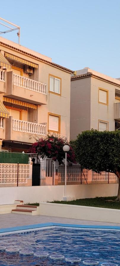 Bajo Con Terraza Y Piscina * Torrevieja